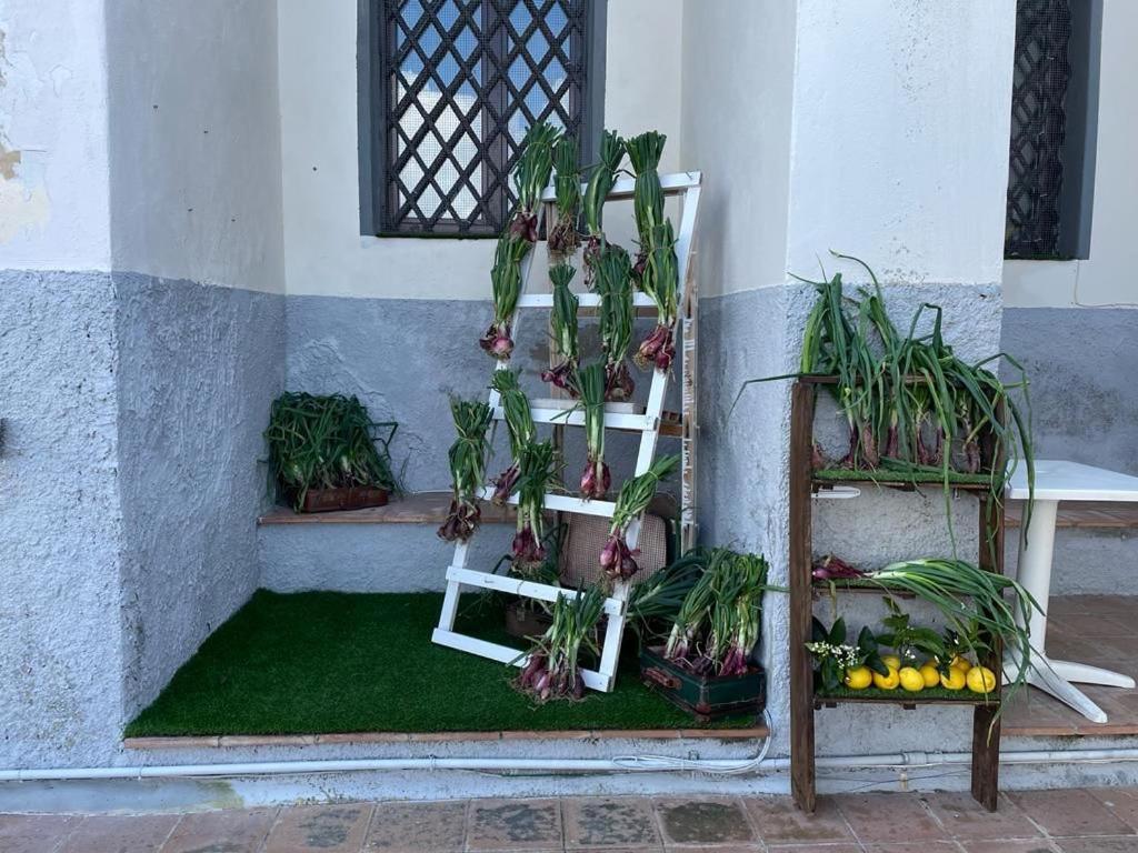La Locanda Del Convento โตรเปอา ภายนอก รูปภาพ