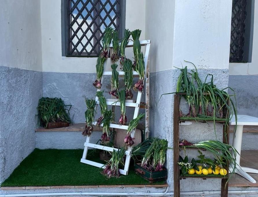 La Locanda Del Convento โตรเปอา ภายนอก รูปภาพ